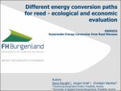 Different energy conversion paths for reed - ecological and economic ...